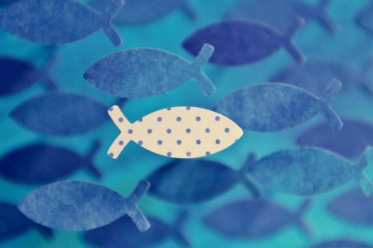 Poisson chrétien (ichtus) à contre-courant