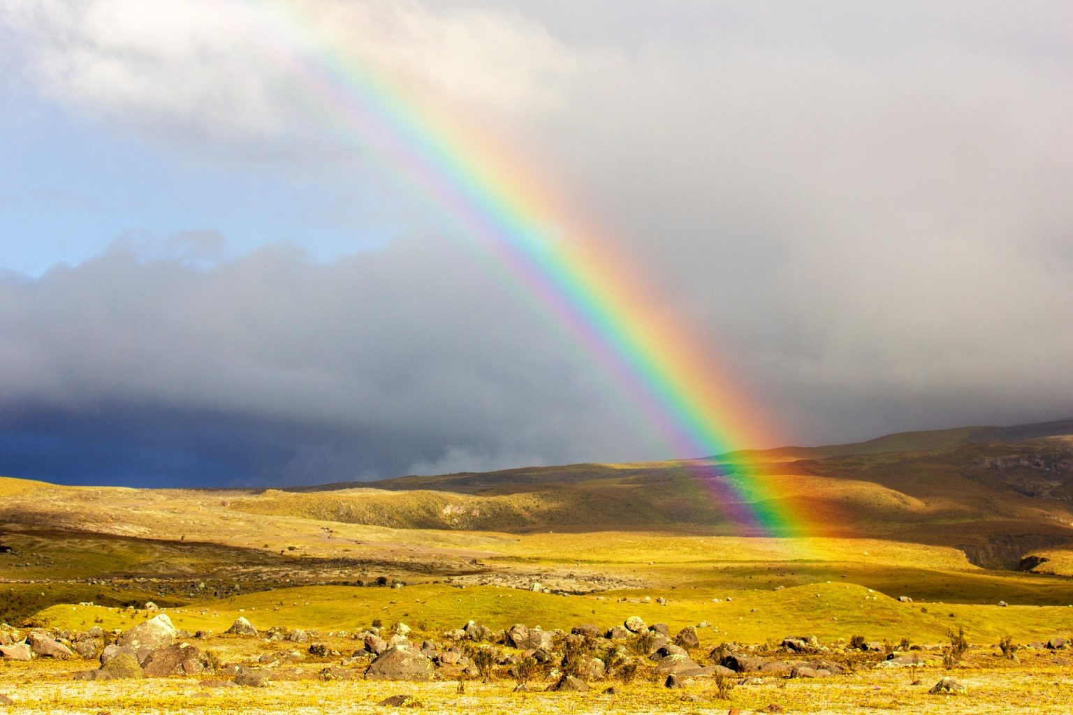 Arc-en-Ciel